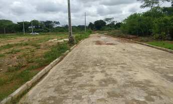 Imagem: Lote - Venda - TIMON - MA - MATEUZINHO