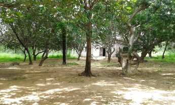 Imagem: Sítio - Venda - TIMON - MA - ZONA RURAL