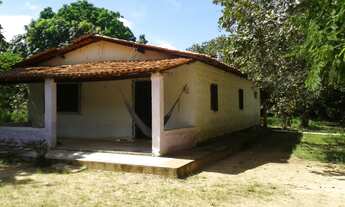 Imagem: Sítio - Venda - TIMON - MA - ZONA RURAL