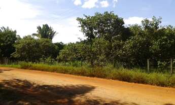 Imagem: Lote - Venda - TIMON - MA - ZONA RURAL