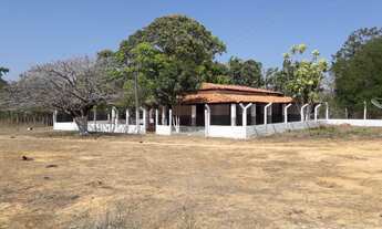 Imagem: Sítio - Venda - TIMON - MA - ZONA RURAL