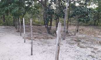 Imagem: Chácara - Venda - Timon - MA - BOA VISTA