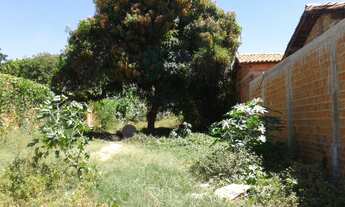 Imagem: Lote - Venda - TIMON - MA - SAO BENEDITO