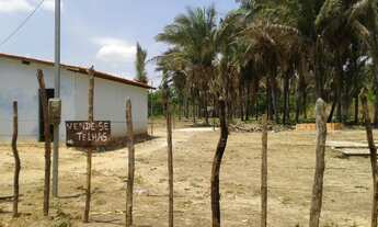 Imagem: Sítio - Venda - TIMON - MA - ZONA RURAL