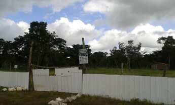 Imagem: Sítio - Venda - TIMON - MA - ZONA RURAL