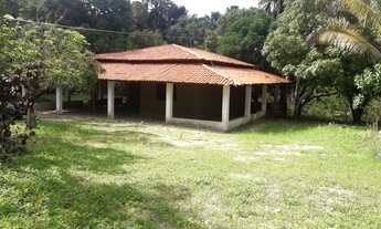 Imagem: Sítio - Venda - TIMON - MA - ZONA RURAL