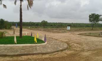 Imagem: Lote - Venda - TIMON - MA - JOIA