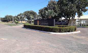 Imagem: Lote - Venda - Timon - MA - PARQUE ALVORADA