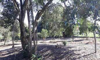 Imagem: Terreno - Venda - LONTRAS - SC - RIACHUELO