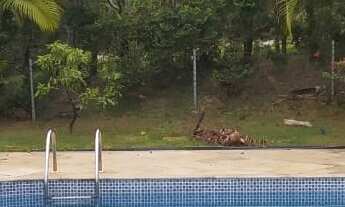 Imagem: Casa em Condomínio - Aluguel - Santana