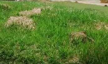 Imagem: Terreno - Venda - Santana de Parnaíba