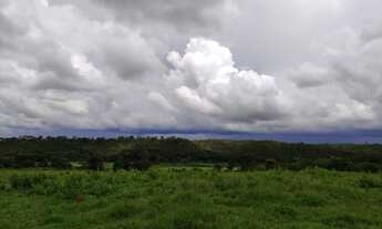 Imagem: Fazenda - Venda - Jequitibá - MG - Rural