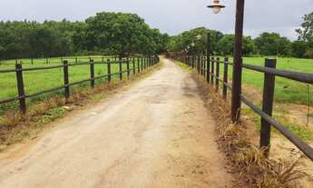 Imagem: Fazenda - Venda - Sete Lagoas - MG - Inhaúma