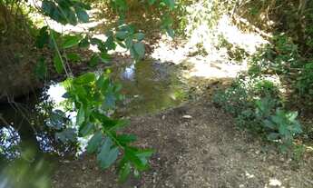 Imagem: Fazenda - Venda - Jequitibá - MG - Jequitibá