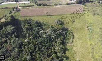 Imagem: Rural - Venda - São Miguel Arcanjo - SP