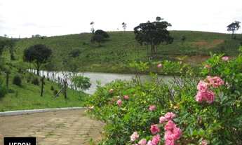 Imagem: Sítios - Venda - Itapetininga - SP - Centro