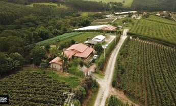 Imagem: Sítios - Venda - Sao Miguel Arcanjo - SP