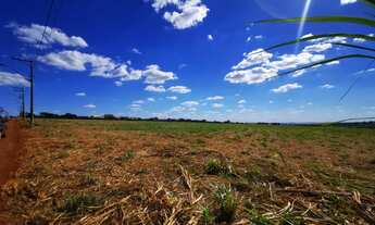 Imagem: Lote - Venda - Cravinhos - SP - Rodovia