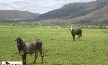 Imagem: Fazenda - Venda - Campo Grande - MS - Zona