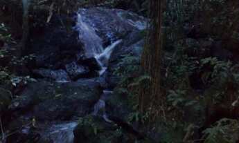 Imagem: Sítio - Venda - Santo Antonio do Pinhal