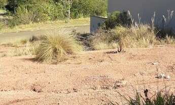 Imagem: Terreno Comercial - Venda - Araras - SP