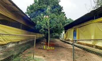 Imagem: Sítio - Venda - Araras - SP - Cascata