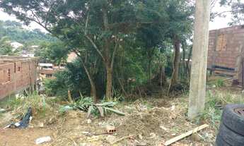 Imagem: Terreno - Venda - Ilhabela - SP - Barra