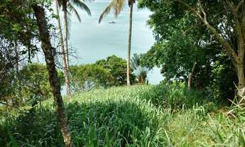 Imagem: Terreno - Venda - Ilhabela - SP - Ponta