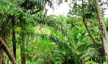 Imagem 1: Terreno em Condomínio - Venda - Camaçari - BA - Busca Vida