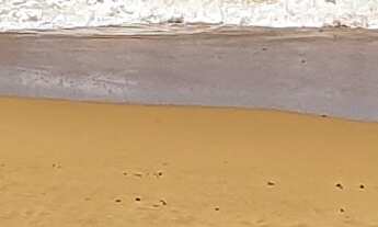 Imagem 1: Terreno em Condomínio - Venda - Camaçari - BA - Busca Vida