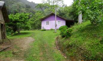 Imagem: Sítio - Venda - JOSE BOITEUX - SC - RIO