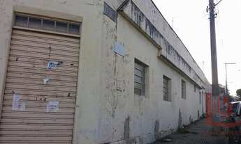 Imagem: Barracão - Venda - Taquaritinga - SP