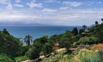 Imagem: Terreno - Venda - Ilhabela - SP - Pacuíba