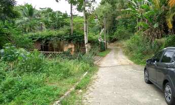 Imagem: Terreno - Venda - Ilhabela - SP - Feiticeira