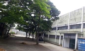 Imagem: Galpão - Aluguel - Osasco - SP - Vila Menck