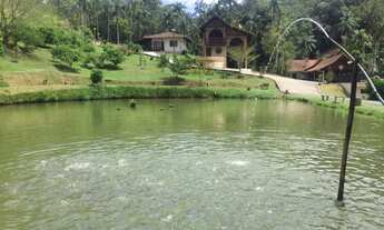 Imagem: Sítio - Venda - Gaspar - SC - Gaspar Alto