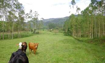 Imagem: Sítio - Venda - Pomerode - SC - Testo Central