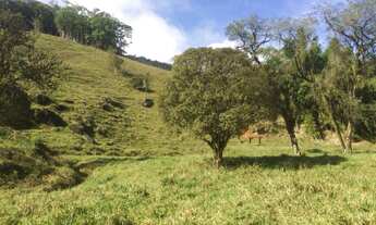 Imagem: Sítio - Venda - Indaial - SC - Consulte