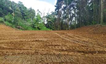 Imagem: Sítio - Venda - Rodeio - SC - Rodeio 32
