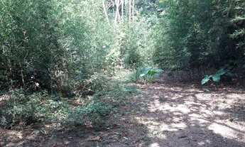 Imagem: Chácara - Venda - Itapevi - SP - km 48