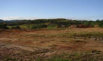 Imagem: Terreno - Venda - Sorocaba - SP - Aparecidinha