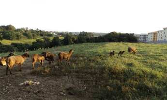 Imagem 2: Área, 6600000m², à venda em Sorocaba, Jardim Tatiana
