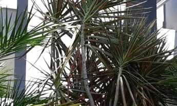 Imagem 2: Casa à venda, no Alphaville Nova esplanada IV, em Votorantim, Alphaville IV, com 3 quartos