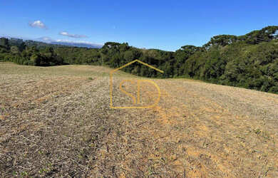 Imagem 5: Espetacular Área Rural no Caminho do Vinho, 21.000m², à venda em São José dos Pinhais, Col