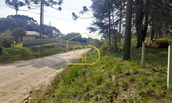 Imagem 5: Linda Chácara de 21160m² com Casa , à venda em Tijucas do Sul, Morro Vermelho