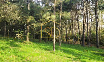 Imagem 6: Linda Chácara de 21160m² com Casa , à venda em Tijucas do Sul, Morro Vermelho