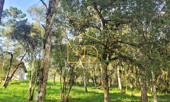 Imagem 7: Linda Chácara de 21160m² com Casa , à venda em Tijucas do Sul, Morro Vermelho