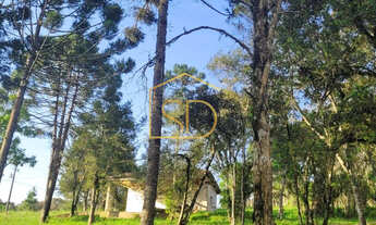 Imagem 3: Linda Chácara de 21160m² com Casa , à venda em Tijucas do Sul, Morro Vermelho