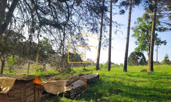 Imagem 4: Linda Chácara de 21160m² com Casa , à venda em Tijucas do Sul, Morro Vermelho