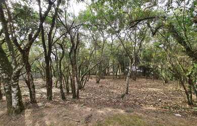 Imagem 4: Terreno (Em condomínio) à Venda, 1575m² - Bairro Vila de São Fernando em Cotia
